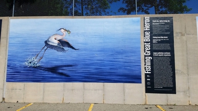 Exterior Wall Wrap Photo