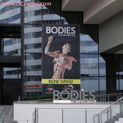 #banners Photo