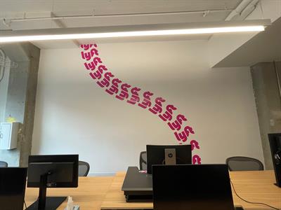 Vinyl Lettering and Graphics Photo