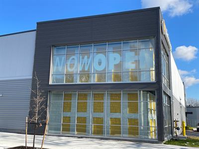 Frosted Vinyl Window Graphics Photo