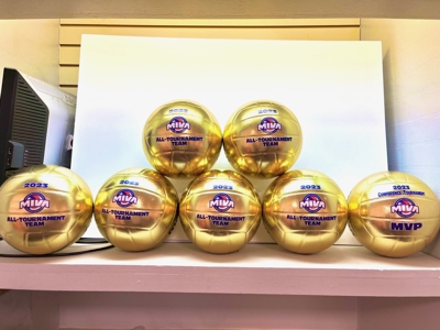 Custom Volleyballs Photo