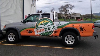 Sunpest pickup with custom vehicle graphics Photo