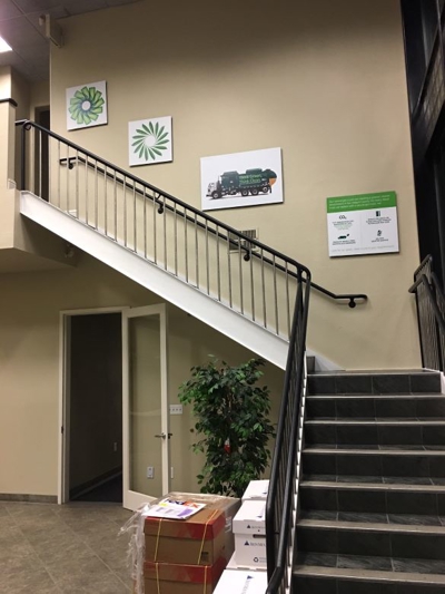 Mounted Posters Photo