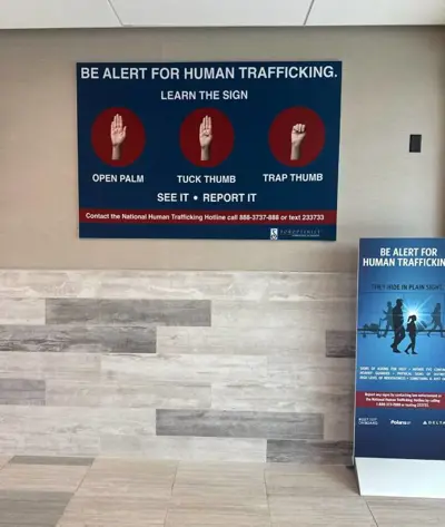 Wall Graphics Photo