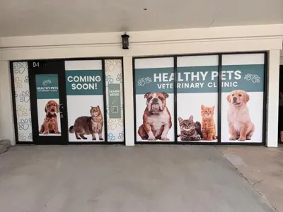 Window Graphics Photo
