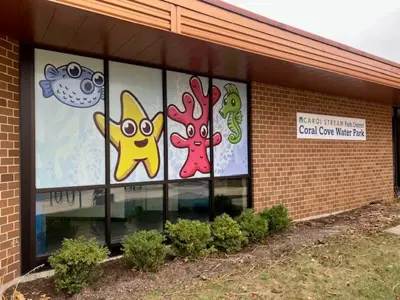 Window Graphics Photo
