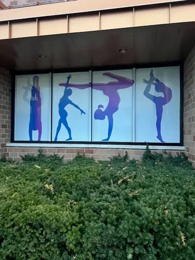 Window Graphics Photo