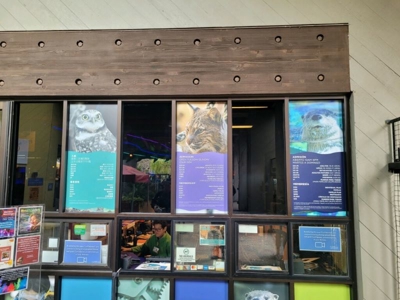 Window Graphics Photo