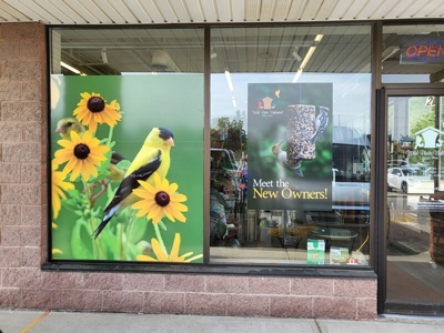 Window Graphics Photo