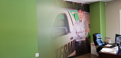 Photos on the green wall Photo