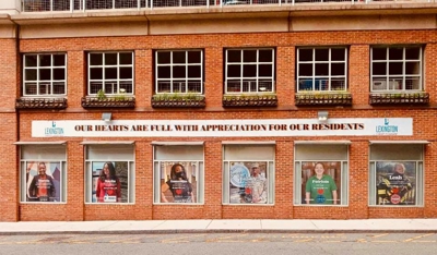 Window Graphics Photo
