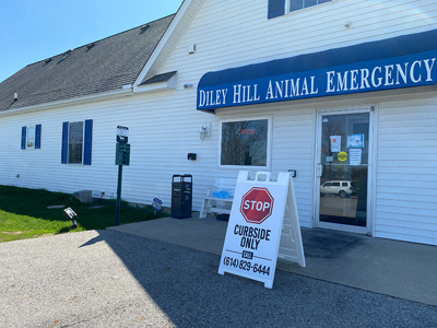 Diley hill animal emergency signage Photo