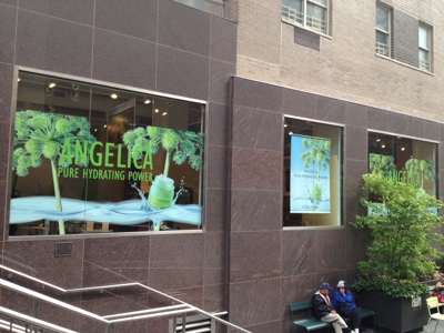 Window Graphics Photo