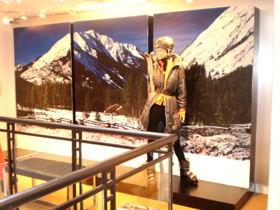 Wall Graphics Photo