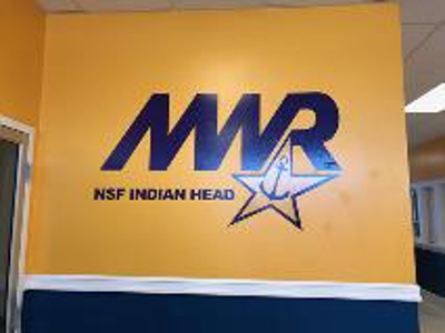 NSF Indian head wall mural Photo