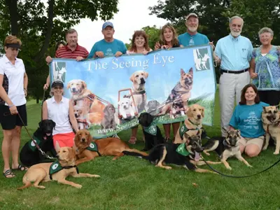 Banners Photo