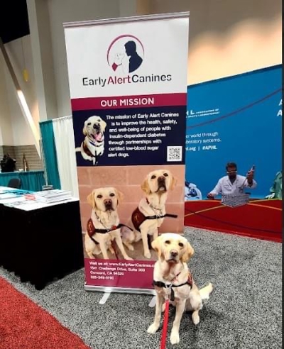 Banner stand Photo