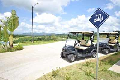 Golf Cart Signage Photo