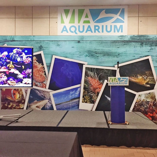 Aquarium Custom Display