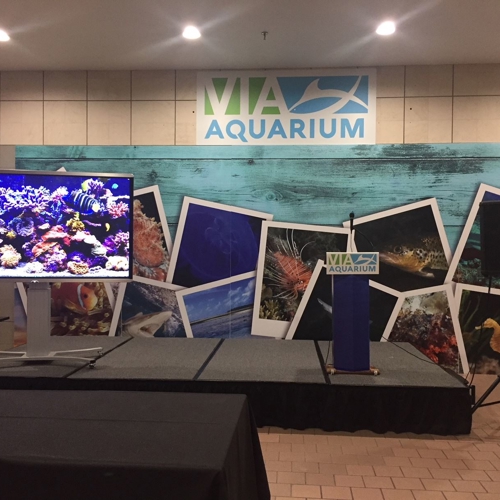 Aquarium Digital Display
