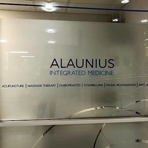 Alaunius custom window graphics