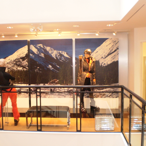 Window & Wall Graphics