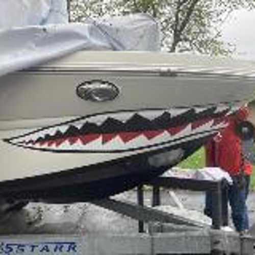grey boat with shark graphics