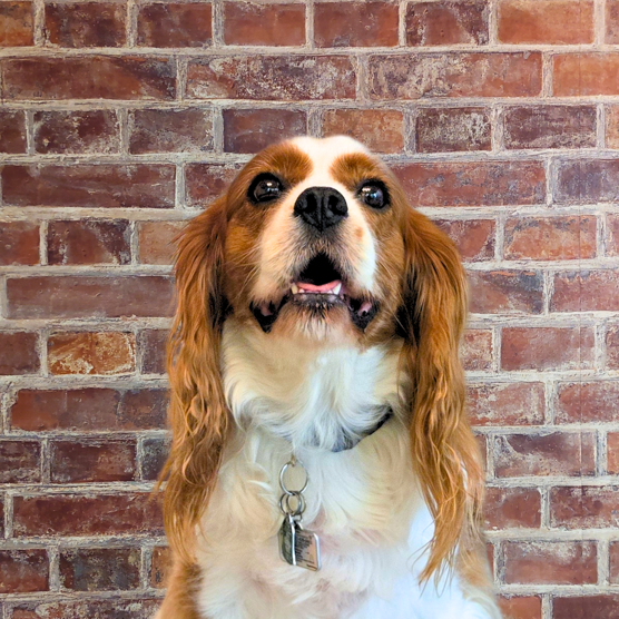 Oslo   Photo