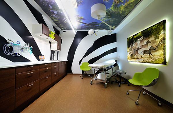 An exam room has a modern animal theme with colorful colors and images on the wall and ceiling