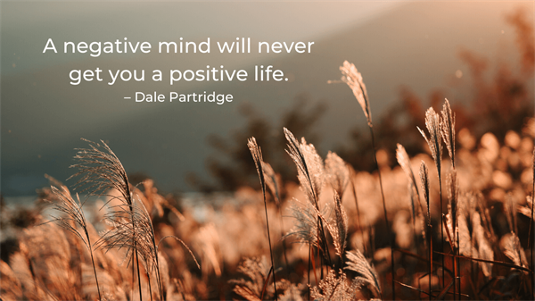 Partridge - positive life quote