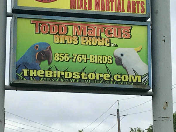 Todd Marcus Birds Exotic sign