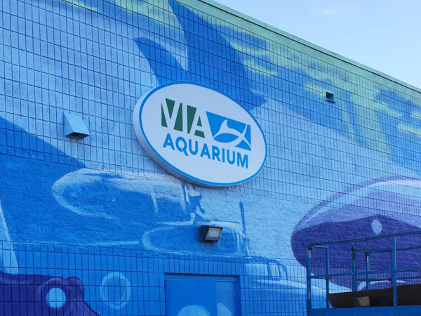 The VIA Aquarium wall graphics