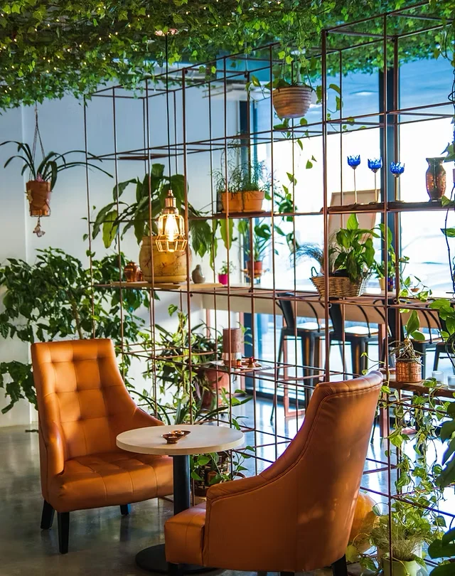 plants inside a sitting area