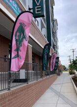 pink and black feather flags outside of business