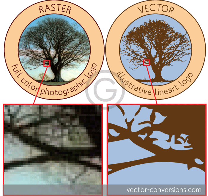 a comparison of raster and vector photos