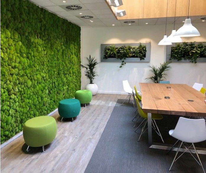 an office has live plants placed around