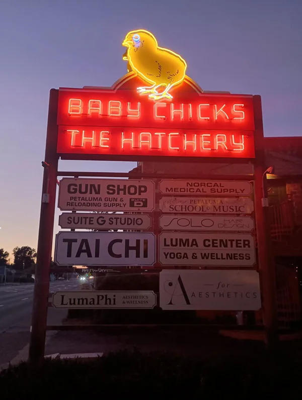 An image of the lit up hatchery sign at night.