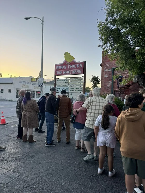 An image of the crowd at The Hatchery.