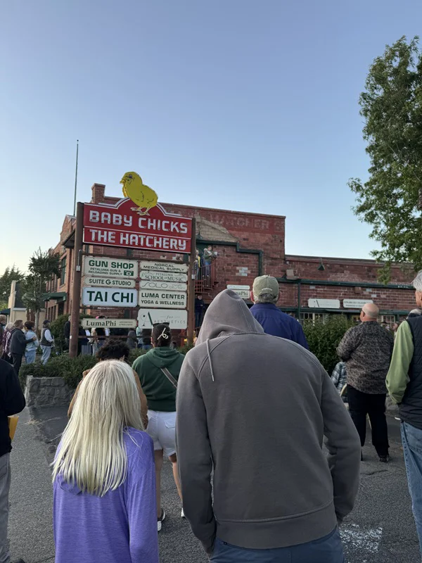 An image of the crowd at The Hatchery.