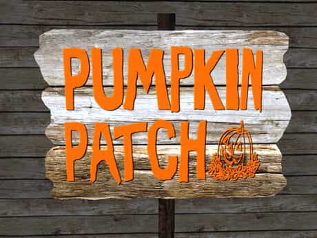 a graphic indicating a pumpkin patch